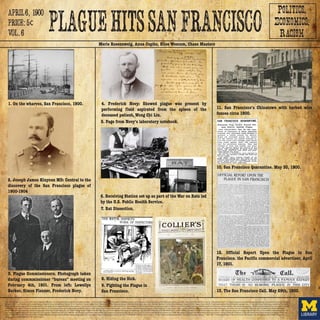 1. On the wharves, San Francisco, 1900. Henry Peabody Collection. U.S. National Archives and Records Administration. 2. Morens DM, Fauci AS. The Forgotten Forefather: Joseph James Kinyoun and the Founding of the National Institutes of Health. mBio. 2012;3(4):e00139-12. doi:10.1128/mBio.00139-12. 3. Plague Commisioners, photograph taken during commissioner“bureau”meeting, 4
February 1901. Standing from left: Lewellys Barker, Frederick Novy; sitting Simon Flexner. [From Frederick G. Novy Papers, Box 4. Located at Bentley Historical Library, University of Michigan, Ann Arbor; Bentley Library.] 4. University of Michigan Faculty History Project. http://um2017.org/faculty-history/faculty/frederick-george-novy 5. Page from Novy’s laboratory notebook. The methy-
lene blue stain performed on the fluid aspirated from the spleen of the deceased patient, Wong Chi Lin, on February 7, shows characteristic bipolar staining bacteria. He incubated the fluid in agar media on February 7, and on February 9, cultures yielded colonies of Bacillus pestis. On February 9, he inoculated a test animal (guinea pig) with the bacteria isolated from pure culture, as well
as fluid from the spleen. The guinea pig died on February 13. An aspirate of the guinea pig spleen yielded B. pestis on stain, and an agar streak yielded a pure culture, thereby satisfying Koch’s postulates. [From Frederick G. Novy Papers. Box 4. Located at Bentley Historical Library, University of Michigan, Ann Arbor.] 6A. Rat Dissection: National Library of Medicine, History of Medicine
Images Collection. 6B. Receiving Station set up as part of the War on Rats led by the U.S. Public Health Service. Plague, from the Why Files. University of Wisconsin @ http://whyfiles.org/. 7A. FIGHTING THE PLAGUE IN SAN FRANCISCO. Collier’s Weekly Journal of Current Events. New York, June 23, 1900. From The Library of Congress, digital collection. In: Chronicling America: American His-
toric Newspapers. 7B. Hiding the Sick. From the San Francisco Chronicle Archive circa 1900. 8A. San Francisco Quarantine. May 30 from San Francisco Chronicle Archive. 8B. San Francisco’s Chinatown with barbed wire fences circa 1900. The Library of Congress American Memory Image Archive. 9.“Board of Health Confesses to Favorite Expert That There Is No Bubonic Plague In This City,”
The San Francisco call. (San Francisco [Calif.]), 29 May 1900. Chronicling America: Historic American Newspapers. Lib. of Congress. http://chroniclingamerica.loc.gov/lccn/sn85066387/1900-05-29/ed-1/seq-1/. 10. The Pacific commercial advertiser. (Honolulu, Hawaiian Islands), 17 April 1901. Chronicling America: Historic American Newspapers. Lib. of Congress. http://chroniclingameri-
ca.loc.gov/lccn/sn85047084/1901-04-17/ed-1/seq1/.
1. On the wharves, San Francisco, 1900.
10. San Francisco Quarantine. May 30, 1900.
11. San Francisco’s Chinatown with barbed wire
fences circa 1900.
8. Hiding the Sick.
9. Fighting the Plague in
San Francisco.
2. Joseph James Kinyoun MD: Central to the
discovery of the San Francisco plague of
1900-1904
6. Receiving Station set up as part of the War on Rats led
by the U.S. Public Health Service.
7. Rat Dissection.
4. Frederick Novy: Showed plague was present by
performing fluid aspirated from the spleen of the
deceased patient, Wong Chi Lin.
5. Page from Novy’s laboratory notebook.
12. Official Report Upon the Plague in San
Francisco. the Pacific commercial advertiser, April
17, 1901.
13. The San Francisco Call. May 29th, 1900.
3. Plague Commissioners. Photograph taken
during commmissioner “bureau” meeting on
February 4th, 1901. From left: Lewellys
Barker, Simon Flexner, Frederick Novy.
Merle Rosenzweig, Anna Cupito, Elise Wescom, Chase Masters
 
