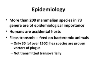 Epidemiology
• More than 200 mammalian species in 73
genera are of epidemiological importance
• Humans are accidental hosts
• Fleas transmit -- feed on bacteremic animals
– Only 30 (of over 1500) flea species are proven
vectors of plague
– Not transmitted transovarially
 
