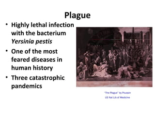 Plague
• Highly lethal infection
with the bacterium
Yersinia pestis
• One of the most
feared diseases in
human history
• Three catastrophic
pandemics
“The Plague” by Poussin
US Nat Lib of Medicine
 