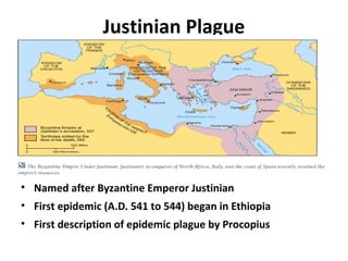 Justinian Plague
• Named after Byzantine Emperor Justinian
• First epidemic (A.D. 541 to 544) began in Ethiopia
• First description of epidemic plague by Procopius
 