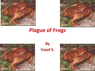 Plague of Frogs

      By
    Yosef S.
 