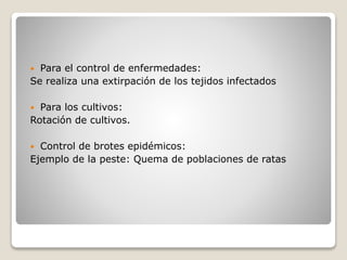  Para el control de enfermedades:
Se realiza una extirpación de los tejidos infectados
 Para los cultivos:
Rotación de cultivos.
 Control de brotes epidémicos:
Ejemplo de la peste: Quema de poblaciones de ratas
 