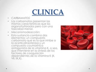 CLINICA
• CARBAMATOS
• Los carbamatos presentan las
  mismas características que los
  organofosforados pero con una
  toxicidad menor.
• Mecanismodeacción:
• Esta sustancia combina dos
  elementos: un compuesto
  carbamato que es la que inhibe a
  la acetilcolinesterasa y un
  compuesto coumarínico
  antagonista de la vitamina K, o sea,
  que interviene en la síntesis de los
  factores de coagulación
  dependientes de la vitamina K (II,
  VII, IX,X).
 