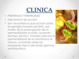 CLINICA
• PIRETRINAS Y PIRETROIDES
• Mecanismo de acción:
• Son neurotóxicos que actúan sobre
  los ganglios basales del SNC, por
  medio de la prolongación de la
  permeabilidad al sodio, aumento
  del flujo del Na+. También afectan la
  permeabilidad de la membrana al
  cloruro, actuando sobre los
  receptores tipo A del ácido gamma-
  aminobutírico.
 
