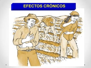 EFECTOS CRÓNICOS
 