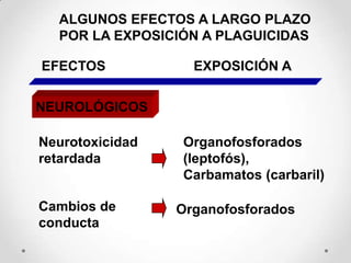 ALGUNOS EFECTOS A LARGO PLAZO
  POR LA EXPOSICIÓN A PLAGUICIDAS

EFECTOS            EXPOSICIÓN A


NEUROLÓGICOS

Neurotoxicidad   Organofosforados
retardada        (leptofós),
                 Carbamatos (carbaril)

Cambios de       Organofosforados
conducta
 