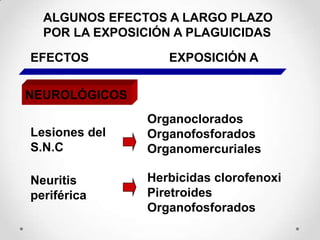 ALGUNOS EFECTOS A LARGO PLAZO
  POR LA EXPOSICIÓN A PLAGUICIDAS

EFECTOS            EXPOSICIÓN A


NEUROLÓGICOS
                Organoclorados
Lesiones del    Organofosforados
S.N.C           Organomercuriales

Neuritis        Herbicidas clorofenoxi
periférica      Piretroides
                Organofosforados
 