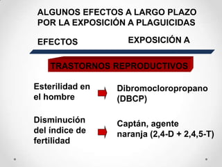 ALGUNOS EFECTOS A LARGO PLAZO
POR LA EXPOSICIÓN A PLAGUICIDAS

EFECTOS            EXPOSICIÓN A


    TRASTORNOS REPRODUCTIVOS

Esterilidad en   Dibromocloropropano
el hombre        (DBCP)

Disminución      Captán, agente
del índice de    naranja (2,4-D + 2,4,5-T)
fertilidad
 