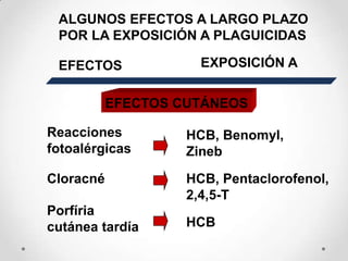 ALGUNOS EFECTOS A LARGO PLAZO
 POR LA EXPOSICIÓN A PLAGUICIDAS

 EFECTOS              EXPOSICIÓN A


           EFECTOS CUTÁNEOS

Reacciones          HCB, Benomyl,
fotoalérgicas       Zineb

Cloracné            HCB, Pentaclorofenol,
                    2,4,5-T
Porfíria
cutánea tardía      HCB
 