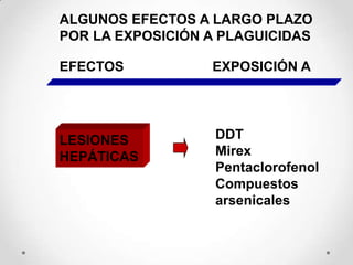 ALGUNOS EFECTOS A LARGO PLAZO
POR LA EXPOSICIÓN A PLAGUICIDAS

EFECTOS           EXPOSICIÓN A




LESIONES           DDT
HEPÁTICAS          Mirex
                   Pentaclorofenol
                   Compuestos
                   arsenicales
 