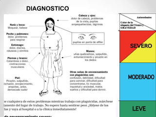 DIAGNOSTICO
 
