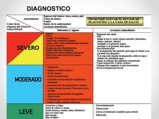 DIAGNOSTICO
 