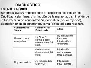 DIAGNOSTICO
ESTADO CRÓNICO
Síntomas leves y antecedentes de exposiciones frecuentes
Debilidad, calambres, disminución de la memoria, disminución de
la fuerza, falta de concentración, dermatitis (piel enrojecida),
depresión (tristeza constante), asma (dificultad para respirar).
         Colinesterasa    Colinesterasa
                                              Indica
         Sérica           Eritrocitaria

                                              -No intoxicación.
                          >o.75 pH/h
         Normal o poco                        -Leve intox.
                          normal o poco
         descendida                           -Intoxicación a
                          descendida (0.75-
                                              carbamatos.
                          0.60)
                          discretamente       -Intoxicación
                          descendida (0.60-   moderada o a
                          0.50)               dosis repetidas

                          muy descendida      -Intoxicación
         Muy descendida
                          (0.50-0.25)         grave (aguda).
 