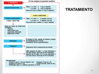 TRATAMIENTO
 