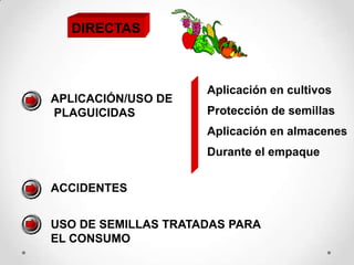 DIRECTAS



                     Aplicación en cultivos
APLICACIÓN/USO DE
PLAGUICIDAS          Protección de semillas
                     Aplicación en almacenes
                     Durante el empaque


ACCIDENTES


USO DE SEMILLAS TRATADAS PARA
EL CONSUMO
 