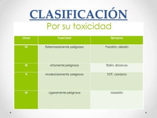 CLASIFICACIÓN
 