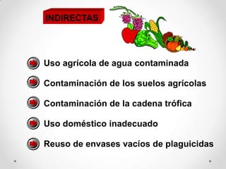 INDIRECTAS




Uso agrícola de agua contaminada

Contaminación de los suelos agrícolas

Contaminación de la cadena trófica

Uso doméstico inadecuado

Reuso de envases vacíos de plaguicidas
 