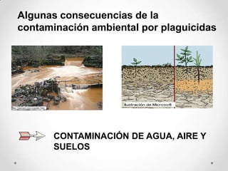 Algunas consecuencias de la
contaminación ambiental por plaguicidas




       CONTAMINACIÓN DE AGUA, AIRE Y
       SUELOS
 