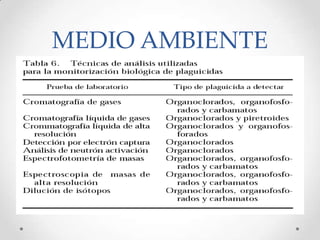 MEDIO AMBIENTE
 