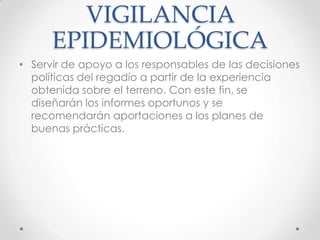 VIGILANCIA
      EPIDEMIOLÓGICA
• Servir de apoyo a los responsables de las decisiones
  políticas del regadío a partir de la experiencia
  obtenida sobre el terreno. Con este fin, se
  diseñarán los informes oportunos y se
  recomendarán aportaciones a los planes de
  buenas prácticas.
 