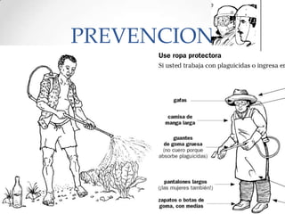 PREVENCION
 
