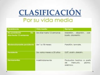 CLASIFICACIÓN
 
