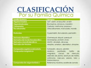 CLASIFICACIÓN
 