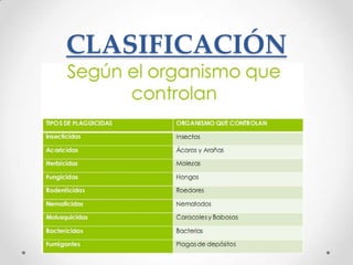 CLASIFICACIÓN
 