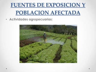 FUENTES DE EXPOSICION Y
   POBLACION AFECTADA
• Actividades agropecuarias:
 