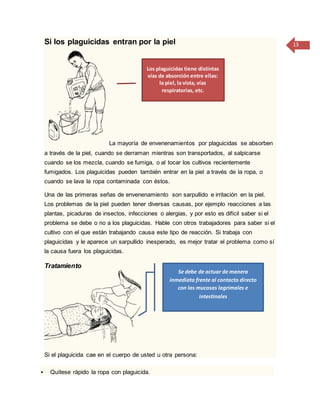 13Si los plaguicidas entran por la piel
La mayoría de envenenamientos por plaguicidas se absorben
a través de la piel, cuando se derraman mientras son transportados, al salpicarse
cuando se los mezcla, cuando se fumiga, o al tocar los cultivos recientemente
fumigados. Los plaguicidas pueden también entrar en la piel a través de la ropa, o
cuando se lava la ropa contaminada con éstos.
Una de las primeras señas de envenenamiento son sarpullido e irritación en la piel.
Los problemas de la piel pueden tener diversas causas, por ejemplo reacciones a las
plantas, picaduras de insectos, infecciones o alergias, y por esto es difícil saber si el
problema se debe o no a los plaguicidas. Hable con otros trabajadores para saber si el
cultivo con el que están trabajando causa este tipo de reacción. Si trabaja con
plaguicidas y le aparece un sarpullido inesperado, es mejor tratar el problema como sí
la causa fuera los plaguicidas.
Tratamiento
Si el plaguicida cae en el cuerpo de usted u otra persona:
 Quítese rápido la ropa con plaguicida.
Los plaguicidas tiene distintas
vías de absorción entre ellas:
la piel, la vista, vías
respiratorias, etc.
Se debe de actuar de manera
inmediata frente al contacto directo
con las mucosas lagrimales e
intestinales
 