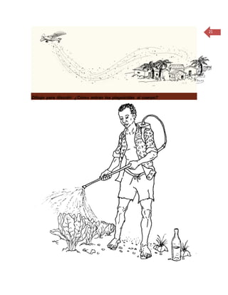 21
Dibujo para discutir: ¿Cómo entran los plaguicidas al cuerpo?
 