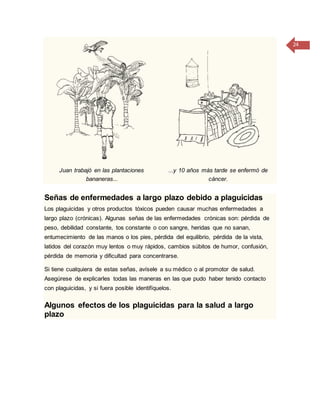 24
Juan trabajó en las plantaciones
bananeras...
...y 10 años más tarde se enfermó de
cáncer.
Señas de enfermedades a largo plazo debido a plaguicidas
Los plaguicidas y otros productos tóxicos pueden causar muchas enfermedades a
largo plazo (crónicas). Algunas señas de las enfermedades crónicas son: pérdida de
peso, debilidad constante, tos constante o con sangre, heridas que no sanan,
entumecimiento de las manos o los pies, pérdida del equilibrio, pérdida de la vista,
latidos del corazón muy lentos o muy rápidos, cambios súbitos de humor, confusión,
pérdida de memoria y dificultad para concentrarse.
Si tiene cualquiera de estas señas, avísele a su médico o al promotor de salud.
Asegúrese de explicarles todas las maneras en las que pudo haber tenido contacto
con plaguicidas, y si fuera posible identifíquelos.
Algunos efectos de los plaguicidas para la salud a largo
plazo
 