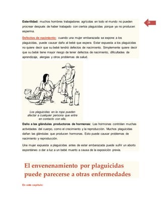 28Esterilidad: muchos hombres trabajadores agrícolas en todo el mundo no pueden
procrear después de haber trabajado con ciertos plaguicidas porque ya no producen
esperma.
Defectos de nacimiento: cuando una mujer embarazada se expone a los
plaguicidas, puede causar daño al bebé que espera. Estar expuesta a los plaguicidas
no quiere decir que su bebé tendrá defectos de nacimiento. Simplemente quiere decir
que su bebé tiene mayor riesgo de tener defectos de nacimiento, dificultades de
aprendizaje, alergias y otros problemas de salud.
Los plaguicidas en la ropa pueden
afectar a cualquier persona que entre
en contacto con ella.
Daño a las glándulas productoras de hormonas: Las hormonas controlan muchas
actividades del cuerpo, como el crecimiento y la reproducción. Muchos plaguicidas
dañan las glándulas que producen hormonas. Esto puede causar problemas de
nacimiento y reproducción.
Una mujer expuesta a plaguicidas antes de estar embarazada puede sufrir un aborto
espontáneo o dar a luz a un bebé muerto a causa de la exposición previa.
El envenenamiento por plaguicidas
puede parecerse a otras enfermedades
En este capítulo:
 