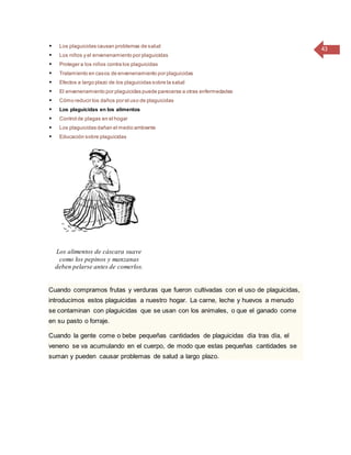 43 Los plaguicidas causan problemas de salud
 Los niños y el envenenamiento por plaguicidas
 Proteger a los niños contra los plaguicidas
 Tratamiento en casos de envenenamiento por plaguicidas
 Efectos a largo plazo de los plaguicidas sobre la salud
 El envenenamiento por plaguicidas puede parecerse a otras enfermedades
 Cómo reducir los daños por el uso de plaguicidas
 Los plaguicidas en los alimentos
 Control de plagas en el hogar
 Los plaguicidas dañan el medio ambiente
 Educación sobre plaguicidas
Los alimentos de cáscara suave
como los pepinos y manzanas
deben pelarse antes de comerlos.
Cuando compramos frutas y verduras que fueron cultivadas con el uso de plaguicidas,
introducimos estos plaguicidas a nuestro hogar. La carne, leche y huevos a menudo
se contaminan con plaguicidas que se usan con los animales, o que el ganado come
en su pasto o forraje.
Cuando la gente come o bebe pequeñas cantidades de plaguicidas día tras día, el
veneno se va acumulando en el cuerpo, de modo que estas pequeñas cantidades se
suman y pueden causar problemas de salud a largo plazo.
 
