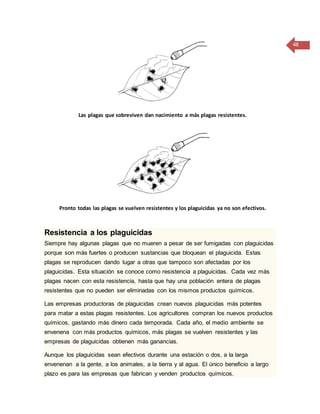 48
Las plagas que sobreviven dan nacimiento a más plagas resistentes.
Pronto todas las plagas se vuelven resistentes y los plaguicidas ya no son efectivos.
Resistencia a los plaguicidas
Siempre hay algunas plagas que no mueren a pesar de ser fumigadas con plaguicidas
porque son más fuertes o producen sustancias que bloquean el plaguicida. Estas
plagas se reproducen dando lugar a otras que tampoco son afectadas por los
plaguicidas. Esta situación se conoce como resistencia a plaguicidas. Cada vez más
plagas nacen con esta resistencia, hasta que hay una población entera de plagas
resistentes que no pueden ser eliminadas con los mismos productos químicos.
Las empresas productoras de plaguicidas crean nuevos plaguicidas más potentes
para matar a estas plagas resistentes. Los agricultores compran los nuevos productos
químicos, gastando más dinero cada temporada. Cada año, el medio ambiente se
envenena con más productos químicos, más plagas se vuelven resistentes y las
empresas de plaguicidas obtienen más ganancias.
Aunque los plaguicidas sean efectivos durante una estación o dos, a la larga
envenenan a la gente, a los animales, a la tierra y al agua. El único beneficio a largo
plazo es para las empresas que fabrican y venden productos químicos.
 