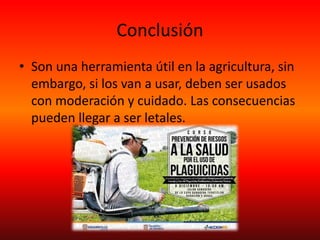Conclusión
• Son una herramienta útil en la agricultura, sin
embargo, si los van a usar, deben ser usados
con moderación y cuidado. Las consecuencias
pueden llegar a ser letales.
 