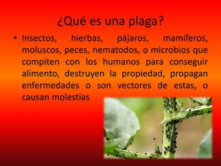 ¿Qué es una plaga?
• Insectos, hierbas, pájaros, mamíferos,
moluscos, peces, nematodos, o microbios que
compiten con los humanos para conseguir
alimento, destruyen la propiedad, propagan
enfermedades o son vectores de estas, o
causan molestias
 