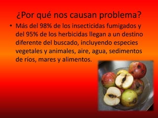 ¿Por qué nos causan problema?
• Más del 98% de los insecticidas fumigados y
del 95% de los herbicidas llegan a un destino
diferente del buscado, incluyendo especies
vegetales y animales, aire, agua, sedimentos
de ríos, mares y alimentos.
 