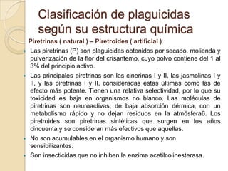 Clasificación de plaguicidas
       según su estructura química
    Piretrinas ( natural ) – Piretroides ( artificial )
   Las piretrinas (P) son plaguicidas obtenidos por secado, molienda y
    pulverización de la flor del crisantemo, cuyo polvo contiene del 1 al
    3% del principio activo.
   Las principales piretrinas son las cinerinas I y II, las jasmolinas I y
    II, y las piretrinas I y II, consideradas estas últimas como las de
    efecto más potente. Tienen una relativa selectividad, por lo que su
    toxicidad es baja en organismos no blanco. Las moléculas de
    piretrinas son neuroactivas, de baja absorción dérmica, con un
    metabolismo rápido y no dejan residuos en la atmósfera6. Los
    piretroides son piretrinas sintéticas que surgen en los años
    cincuenta y se consideran más efectivos que aquellas.
   No son acumulables en el organismo humano y son
    sensibilizantes.
   Son insecticidas que no inhiben la enzima acetilcolinesterasa.
 