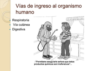 Vías de ingreso al organismo
    humano
 Respiratoria
 Vía cutánea
 Digestiva
 