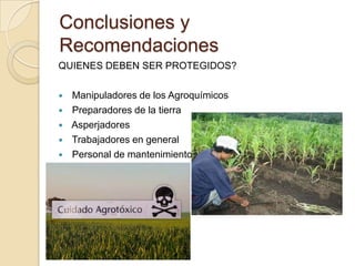 Conclusiones y
Recomendaciones
QUIENES DEBEN SER PROTEGIDOS?

   Manipuladores de los Agroquímicos
   Preparadores de la tierra
   Asperjadores
   Trabajadores en general
   Personal de mantenimiento
 