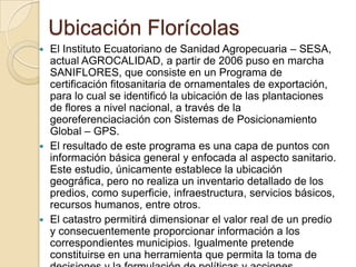 Ubicación Florícolas
 El Instituto Ecuatoriano de Sanidad Agropecuaria – SESA,
  actual AGROCALIDAD, a partir de 2006 puso en marcha
  SANIFLORES, que consiste en un Programa de
  certificación fitosanitaria de ornamentales de exportación,
  para lo cual se identificó la ubicación de las plantaciones
  de flores a nivel nacional, a través de la
  georeferenciaciación con Sistemas de Posicionamiento
  Global – GPS.
 El resultado de este programa es una capa de puntos con
  información básica general y enfocada al aspecto sanitario.
  Este estudio, únicamente establece la ubicación
  geográfica, pero no realiza un inventario detallado de los
  predios, como superficie, infraestructura, servicios básicos,
  recursos humanos, entre otros.
 El catastro permitirá dimensionar el valor real de un predio
  y consecuentemente proporcionar información a los
  correspondientes municipios. Igualmente pretende
  constituirse en una herramienta que permita la toma de
 