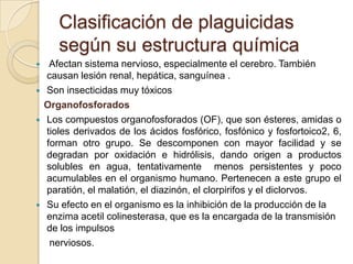 Clasificación de plaguicidas
       según su estructura química
    Afectan sistema nervioso, especialmente el cerebro. También
    causan lesión renal, hepática, sanguínea .
   Son insecticidas muy tóxicos
    Organofosforados
   Los compuestos organofosforados (OF), que son ésteres, amidas o
    tioles derivados de los ácidos fosfórico, fosfónico y fosfortoico2, 6,
    forman otro grupo. Se descomponen con mayor facilidad y se
    degradan por oxidación e hidrólisis, dando origen a productos
    solubles en agua, tentativamente menos persistentes y poco
    acumulables en el organismo humano. Pertenecen a este grupo el
    paratión, el malatión, el diazinón, el clorpirifos y el diclorvos.
   Su efecto en el organismo es la inhibición de la producción de la
    enzima acetil colinesterasa, que es la encargada de la transmisión
    de los impulsos
     nerviosos.
 
