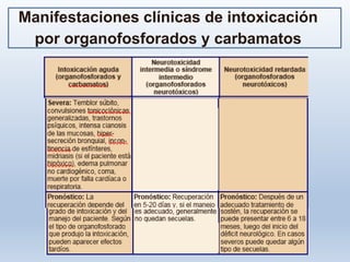Manifestaciones clínicas de intoxicación
por organofosforados y carbamatos
 