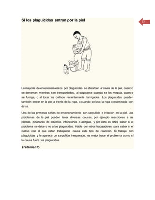 13Si los plaguicidas entran por la piel
La mayoría de envenenamientos por plaguicidas se absorben a través de la piel, cuando
se derraman mientras son transportados, al salpicarse cuando se los mezcla, cuando
se fumiga, o al tocar los cultivos recientemente fumigados. Los plaguicidas pueden
también entrar en la piel a través de la ropa, o cuando se lava la ropa contaminada con
éstos.
Una de las primeras señas de envenenamiento son sarpullido e irritación en la piel. Los
problemas de la piel pueden tener diversas causas, por ejemplo reacciones a las
plantas, picaduras de insectos, infecciones o alergias, y por esto es difícil saber si el
problema se debe o no a los plaguicidas. Hable con otros trabajadores para saber si el
cultivo con el que están trabajando causa este tipo de reacción. Si trabaja con
plaguicidas y le aparece un sarpullido inesperado, es mejor tratar el problema como sí
la causa fuera los plaguicidas.
Tratamiento
 