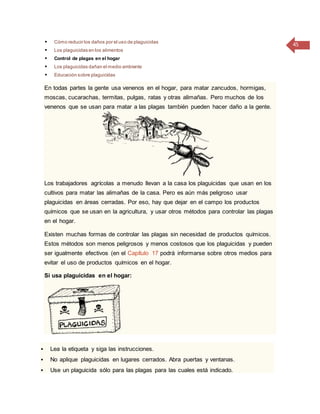 45 Cómo reducir los daños por el uso de plaguicidas
 Los plaguicidas en los alimentos
 Control de plagas en el hogar
 Los plaguicidas dañan el medio ambiente
 Educación sobre plaguicidas
En todas partes la gente usa venenos en el hogar, para matar zancudos, hormigas,
moscas, cucarachas, termitas, pulgas, ratas y otras alimañas. Pero muchos de los
venenos que se usan para matar a las plagas también pueden hacer daño a la gente.
Los trabajadores agrícolas a menudo llevan a la casa los plaguicidas que usan en los
cultivos para matar las alimañas de la casa. Pero es aún más peligroso usar
plaguicidas en áreas cerradas. Por eso, hay que dejar en el campo los productos
químicos que se usan en la agricultura, y usar otros métodos para controlar las plagas
en el hogar.
Existen muchas formas de controlar las plagas sin necesidad de productos químicos.
Estos métodos son menos peligrosos y menos costosos que los plaguicidas y pueden
ser igualmente efectivos (en el Capítulo 17 podrá informarse sobre otros medios para
evitar el uso de productos químicos en el hogar.
Si usa plaguicidas en el hogar:
 Lea la etiqueta y siga las instrucciones.
 No aplique plaguicidas en lugares cerrados. Abra puertas y ventanas.
 Use un plaguicida sólo para las plagas para las cuales está indicado.
 