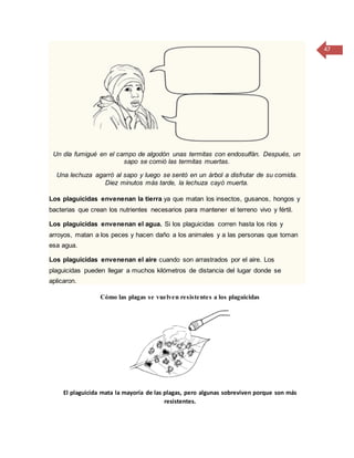 47
Un día fumigué en el campo de algodón unas termitas con endosulfán. Después, un
sapo se comió las termitas muertas.
Una lechuza agarró al sapo y luego se sentó en un árbol a disfrutar de su comida.
Diez minutos más tarde, la lechuza cayó muerta.
Los plaguicidas envenenan la tierra ya que matan los insectos, gusanos, hongos y
bacterias que crean los nutrientes necesarios para mantener el terreno vivo y fértil.
Los plaguicidas envenenan el agua. Si los plaguicidas corren hasta los ríos y
arroyos, matan a los peces y hacen daño a los animales y a las personas que toman
esa agua.
Los plaguicidas envenenan el aire cuando son arrastrados por el aire. Los
plaguicidas pueden llegar a muchos kilómetros de distancia del lugar donde se
aplicaron.
Cómo las plagas se vuelven resistentes a los plaguicidas
El plaguicida mata la mayoría de las plagas, pero algunas sobreviven porque son más
resistentes.
 