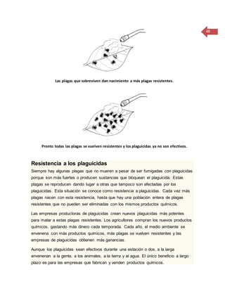 48
Las plagas que sobreviven dan nacimiento a más plagas resistentes.
Pronto todas las plagas se vuelven resistentes y los plaguicidas ya no son efectivos.
Resistencia a los plaguicidas
Siempre hay algunas plagas que no mueren a pesar de ser fumigadas con plaguicidas
porque son más fuertes o producen sustancias que bloquean el plaguicida. Estas
plagas se reproducen dando lugar a otras que tampoco son afectadas por los
plaguicidas. Esta situación se conoce como resistencia a plaguicidas. Cada vez más
plagas nacen con esta resistencia, hasta que hay una población entera de plagas
resistentes que no pueden ser eliminadas con los mismos productos químicos.
Las empresas productoras de plaguicidas crean nuevos plaguicidas más potentes
para matar a estas plagas resistentes. Los agricultores compran los nuevos productos
químicos, gastando más dinero cada temporada. Cada año, el medio ambiente se
envenena con más productos químicos, más plagas se vuelven resistentes y las
empresas de plaguicidas obtienen más ganancias.
Aunque los plaguicidas sean efectivos durante una estación o dos, a la larga
envenenan a la gente, a los animales, a la tierra y al agua. El único beneficio a largo
plazo es para las empresas que fabrican y venden productos químicos.
 