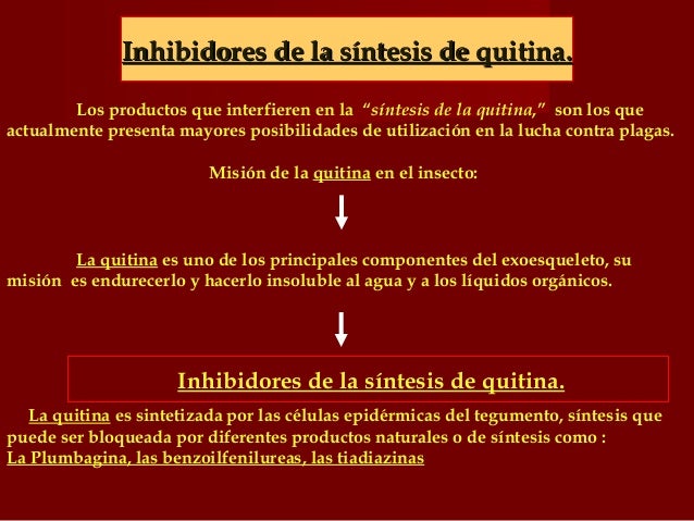 Plaguicidas clasificación