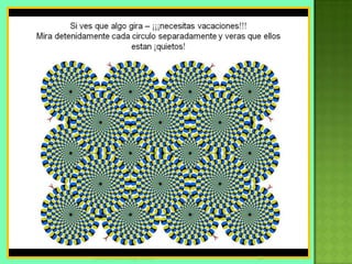 maria johana ortega stifano   28
 